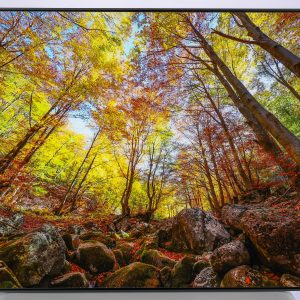 фотокартина ессенна гора