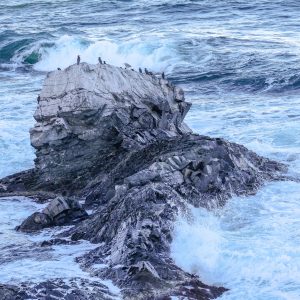 64.СКАЛА В МОРЕТО/ROCK IN THE SEA