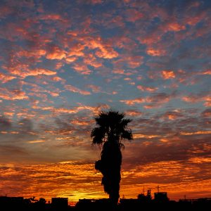 51.ЗАЛЕЗ КРАЙ ЛОС АНЖЕЛИС/L.A. SUNSET