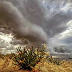 33.ПЛАЖ АРКУТИНО ПРЕД БУРЯ/ARKUTINO BEACH BEFORE A STORM
