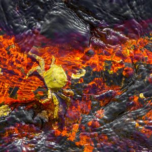 46.МОРСКА АБСТРАКЦИЯ 5/MARINE ABSTRACTION 5