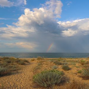 54.ПЛАЖ/BEACH