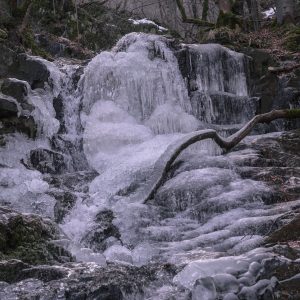 65.БОЯНСКАТА РЕКА/THE BOYANA RIVER